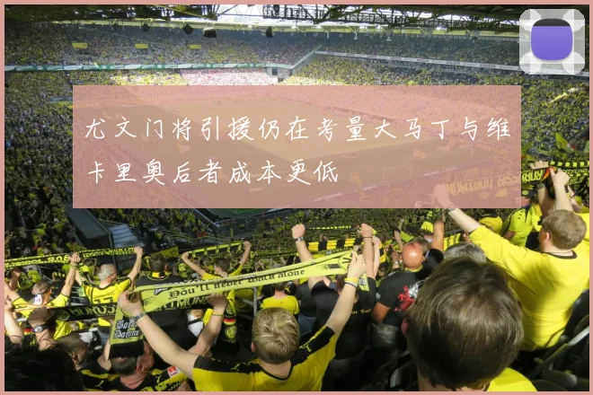 尤文门将引援仍在考量大马丁与维卡里奥后者成本更低